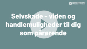 webinar selvskade